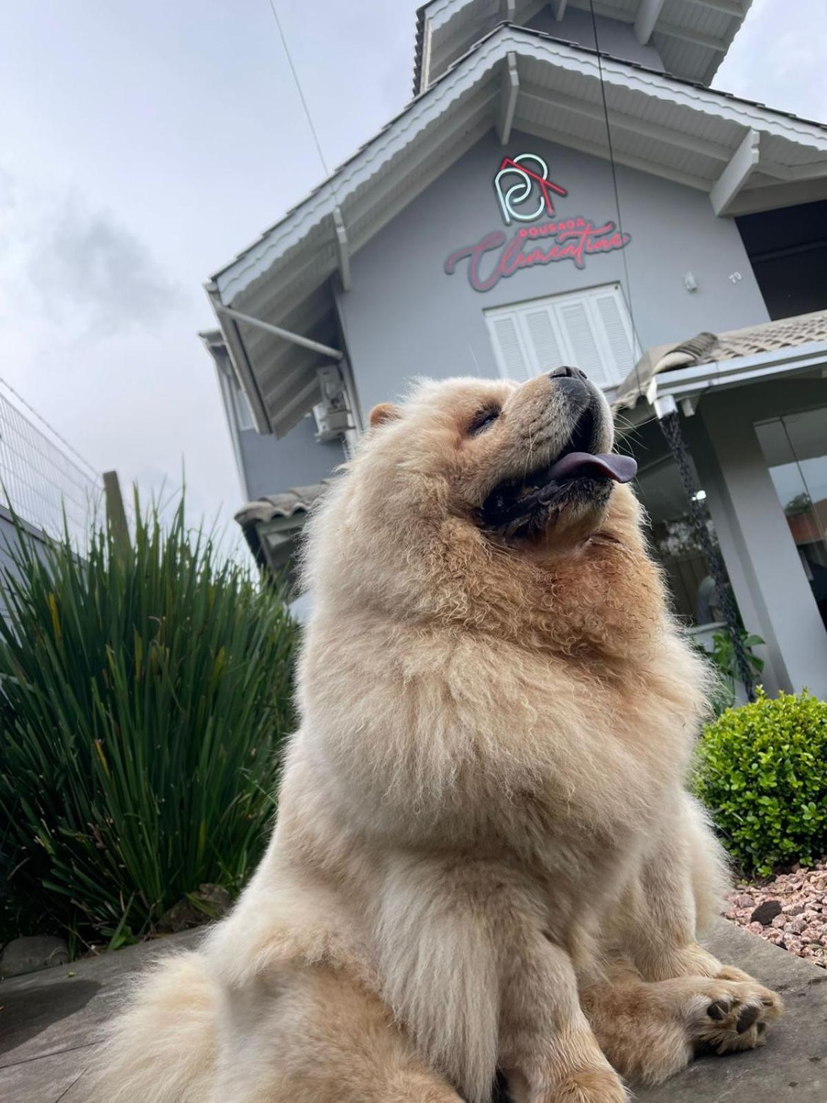 Pousada Clementine Gramado Dış mekan fotoğraf